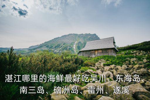 湛江哪里的海鮮最好吃吳川、東海島、南三島、硇洲島、雷州、遂溪
