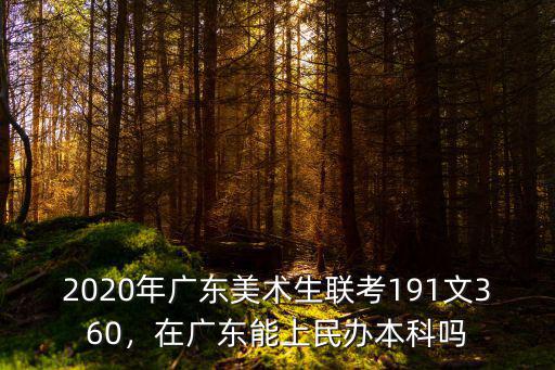 2020年廣東美術生聯考191文360，在廣東能上民辦本科嗎