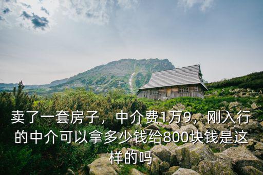 賣了一套房子，中介費1萬9，剛入行的中介可以拿多少錢給800塊錢是這樣的嗎