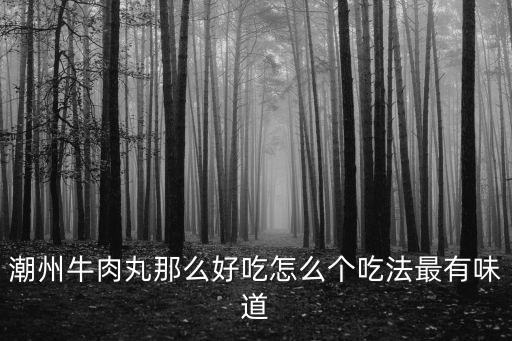 潮州牛肉丸怎么火的,潮州牛肉丸那么好吃