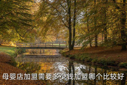 深圳加盟育嬰店需要多少錢,加盟哪個比較好