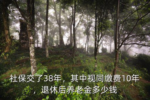 社保交了38年，其中視同繳費10年，退休后養老金多少錢