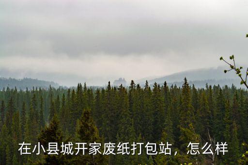 山東菏澤成武有多少廢紙打包站,要做一個廢紙打包站