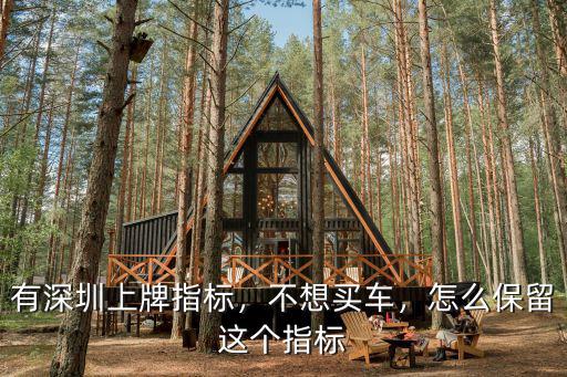 哪里有深圳牌協(xié)議車,我有一個(gè)深圳車牌指標(biāo)