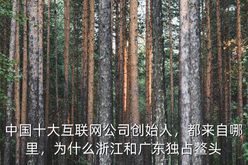 浙江有多少個(gè)創(chuàng)始人,中國(guó)十大互聯(lián)網(wǎng)公司創(chuàng)始人