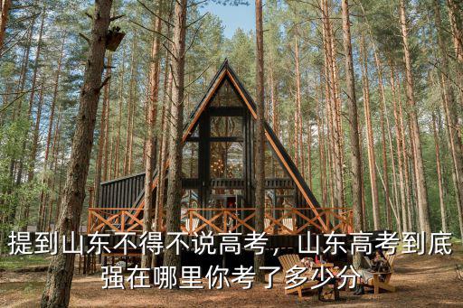 山東今年高考滿分多少,提到山東不得不說高考