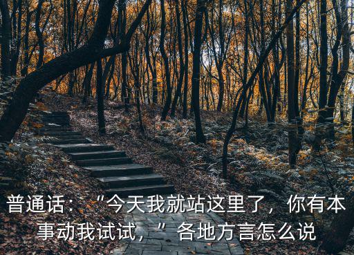 茂名方言我愛你怎么說,各地方言怎么說