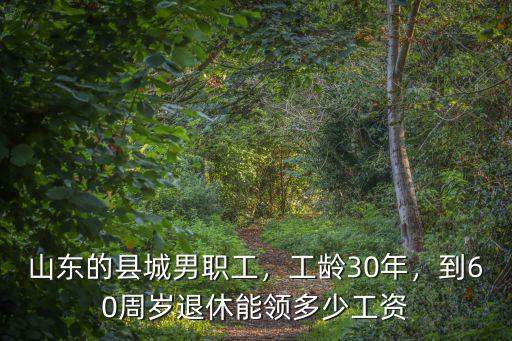 山東的縣城男職工，工齡30年，到60周歲退休能領(lǐng)多少工資