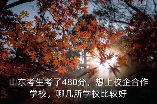山東考生考了480分，想上校企合作學校，哪幾所學校比較好