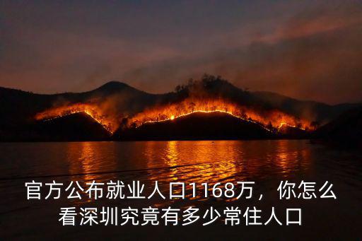 深圳還有多少萬人口,深圳究竟有多少常住人口