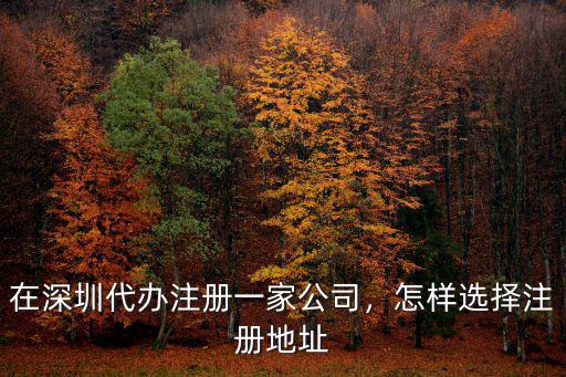 深圳代辦公司怎么注冊,在深圳代辦注冊一家公司