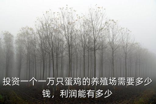 投資一個一萬只蛋雞的養殖場需要多少錢，利潤能有多少