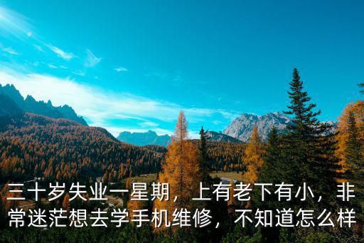 廣州學(xué)修手機怎么樣,非常迷茫想去學(xué)手機維修