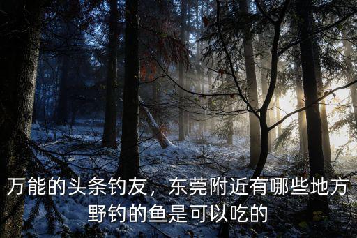 東莞賣魚的地方在哪里,萬能的頭條釣友