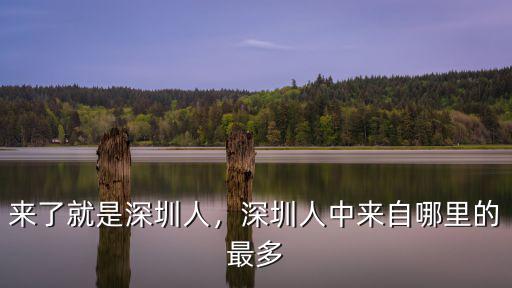 深圳市張坤業哪里人,深圳人都去哪里了