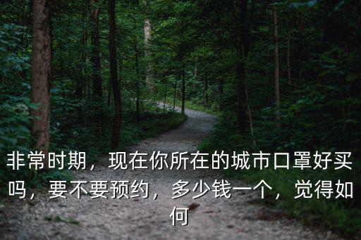 嘉興市預約口罩多少錢,口罩在哪里預約比較好