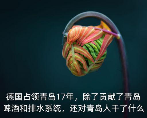 德國占領青島來了多少人,德國占領青島17年