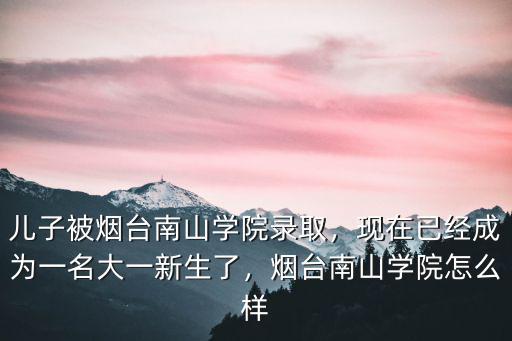 煙臺南山學院2019錄取分數線及學費多少,兒子被煙臺南山學院錄取