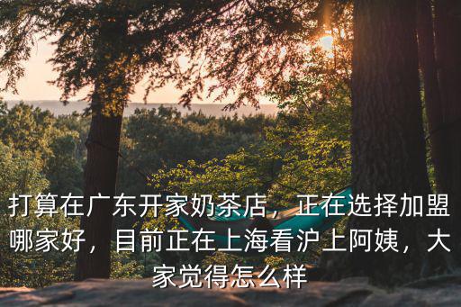 打算在廣東開家奶茶店，正在選擇加盟哪家好，目前正在上海看滬上阿姨，大家覺得怎么樣