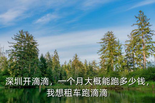 深圳打滴滴到廣州多少錢一個月,深圳跑滴滴每月能賺多少