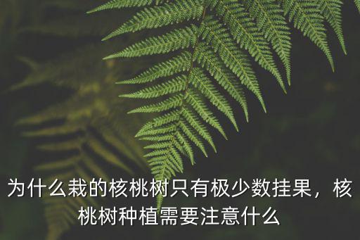 為什么栽的核桃樹只有極少數掛果，核桃樹種植需要注意什么