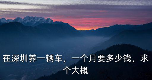 在深圳養一輛車，一個月要多少錢，求個大概