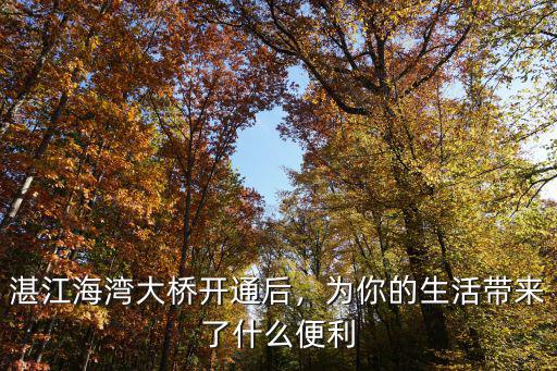 湛江海灣大橋開通后，為你的生活帶來了什么便利
