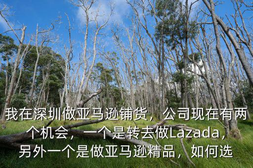 我在深圳做亞馬遜鋪貨，公司現在有兩個機會，一個是轉去做Lazada，另外一個是做亞馬遜精品，如何選