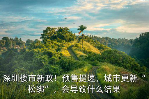 深圳城市更新公司賣了多少錢,城市更新松綁