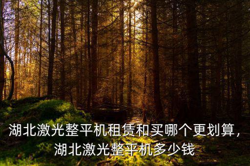 湖北激光整平機租賃和買哪個更劃算，湖北激光整平機多少錢