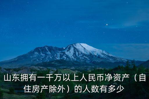 山東擁有一千萬以上人民幣凈資產(chǎn)（自住房產(chǎn)除外）的人數(shù)有多少