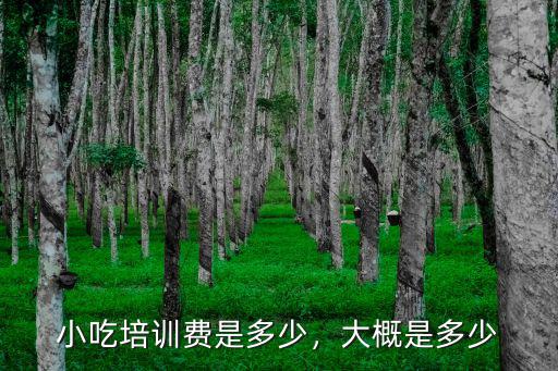 小吃培訓費是多少，大概是多少