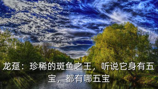 廣東哪里的斑魚最好,廣東哪個城市的海鮮最好吃