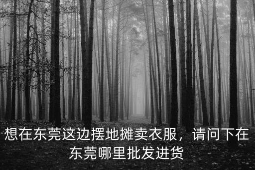 想在東莞這邊擺地?cái)傎u衣服，請問下在東莞哪里批發(fā)進(jìn)貨