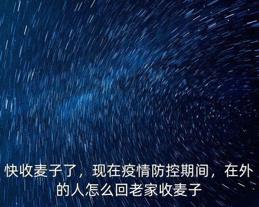 快收麥子了，現在疫情防控期間，在外的人怎么回老家收麥子