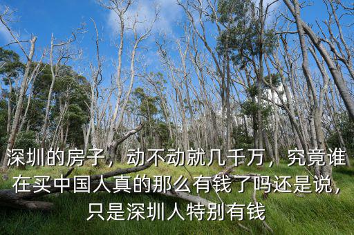 深圳的富人一般都在哪里出現,深圳的富人區在哪里