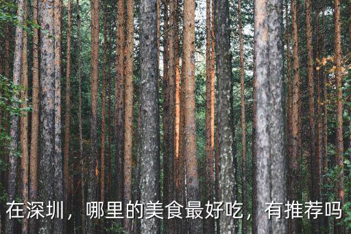 深圳哪里的湯好喝,哪里的牛雜湯好喝