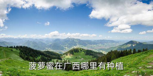 廣東哪里有適合種植菠蘿蜜,菠蘿蜜在廣東哪里有種植的
