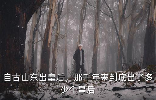 山東共出了多少歷史名人,山東歷史上出過多少位名人