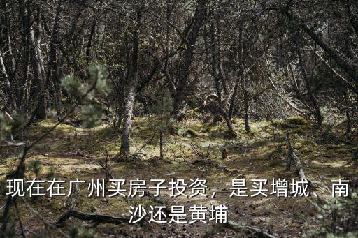 現在在廣州買房子投資，是買增城、南沙還是黃埔