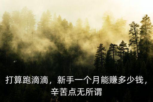 嘉興到蘇州滴滴多少錢一個月多少錢一個月,現在在蘇州跑滴滴收益怎么樣