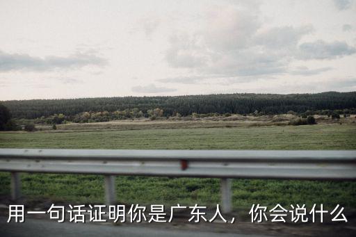用一句話證明你是廣東人，你會說什么