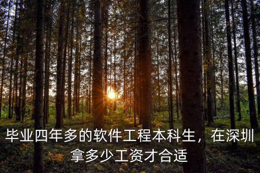 在深圳學軟件工程工資待遇怎么樣,在深圳拿多少工資才合適