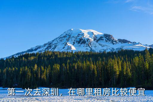 深圳哪里最擠,深圳哪個(gè)地鐵站最堵