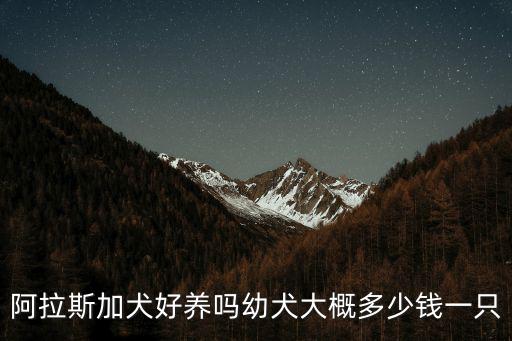 寧波的.阿拉斯加多少錢一只,阿拉斯加犬好養嗎