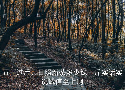 五一過后，日照新茶多少錢一斤實話實說誠信至上啊