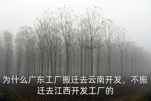 廣州的工廠都搬去哪里了,不搬遷去江西開發工廠的