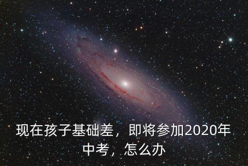 現在孩子基礎差，即將參加2020年中考，怎么辦