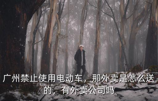 廣州禁止使用電動(dòng)車，那外賣是怎么送的，有外賣公司嗎