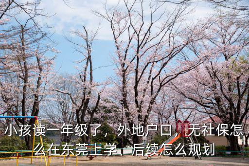 在東莞沒(méi)有居住證怎么上小學(xué),后續(xù)怎么規(guī)劃
